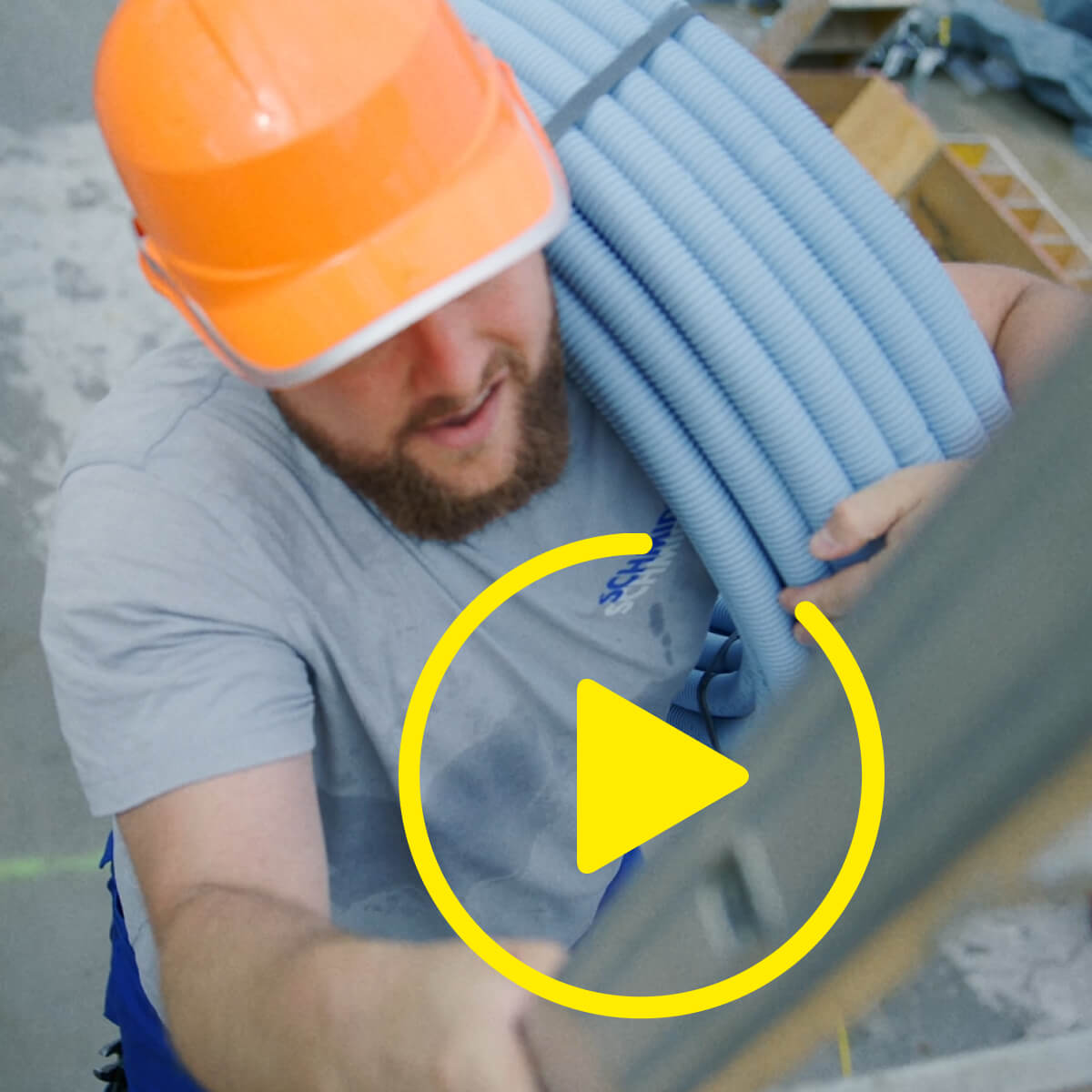 Comme des poissons dans l’eau